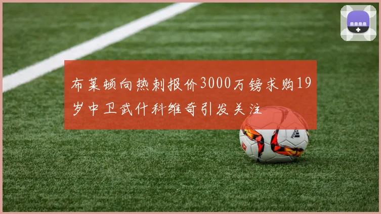 布莱顿向热刺报价3000万镑求购19岁中卫武什科维奇引发关注